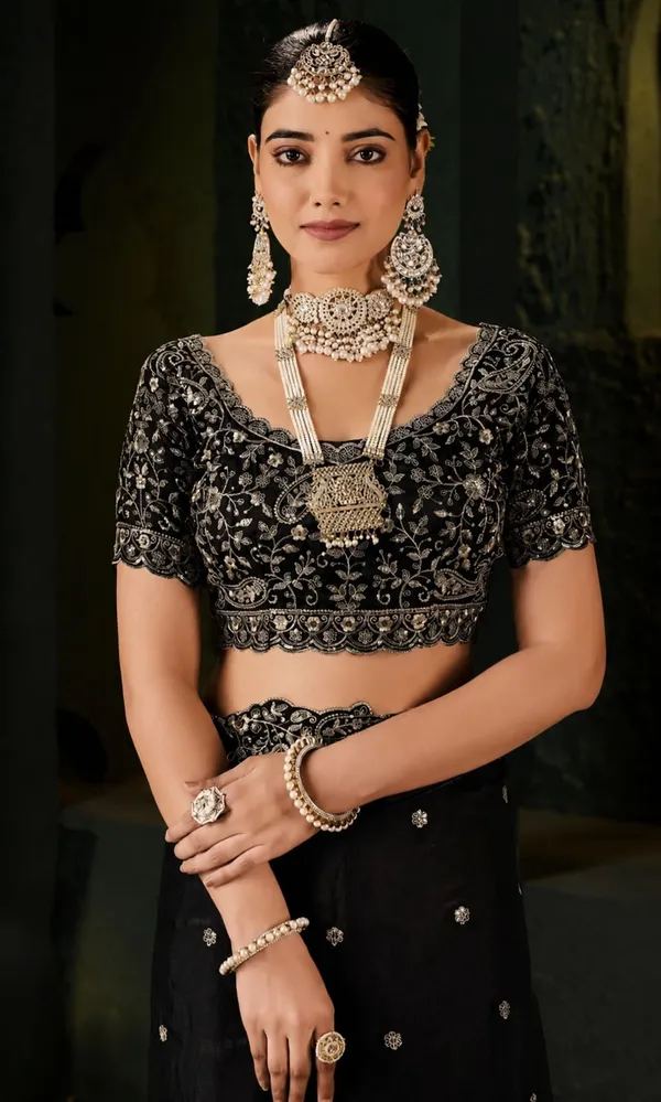Royal_Black_Embroidered_Silk_Saree_with_Designer_Blouse_&_Zari_Border