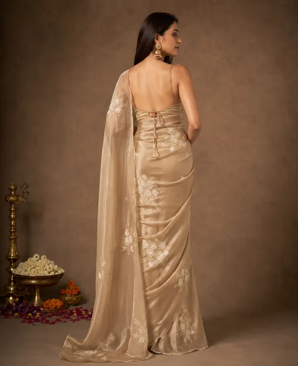 TRENDING_HEAVY_SEQUENS_BUTA_CHIKU_SAREE
