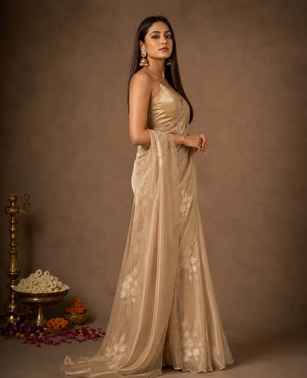 TRENDING_HEAVY_SEQUENS_BUTA_CHIKU_SAREE