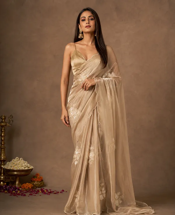 TRENDING_HEAVY_SEQUENS_BUTA_CHIKU_SAREE