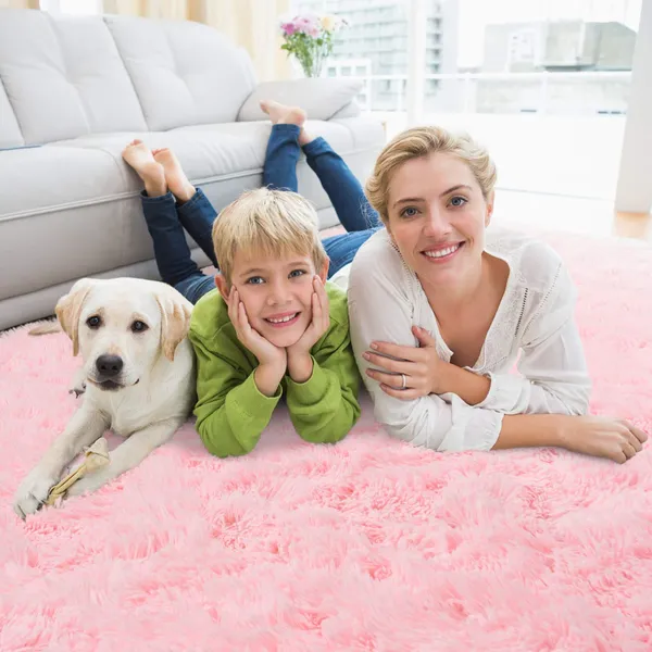 Generic_Soft_Fluffy_Shag_Area_Rugs_For_Living_Room_Shaggy_Floor_Carpet_For_Bedroom_Girls_Carpets_Kids_Home_Decor_Rugs_Cute_Luxury_Non_Slip_Pink