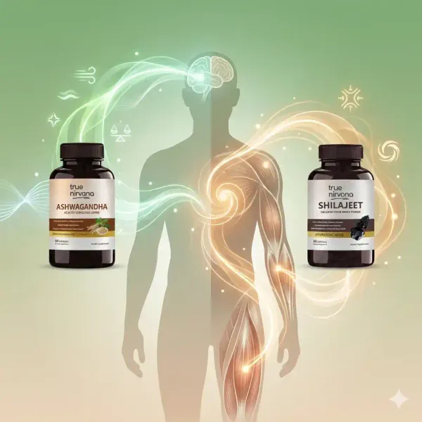 Stress_&_Resilience_Capsule_Pack_|_Ashwagandha_+_Shilajeet_Daily_Support