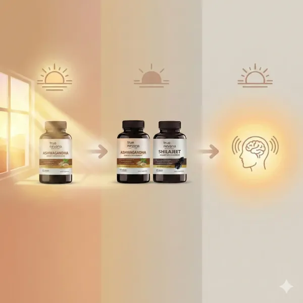 Stress_&_Resilience_Capsule_Pack_|_Ashwagandha_+_Shilajeet_Daily_Support