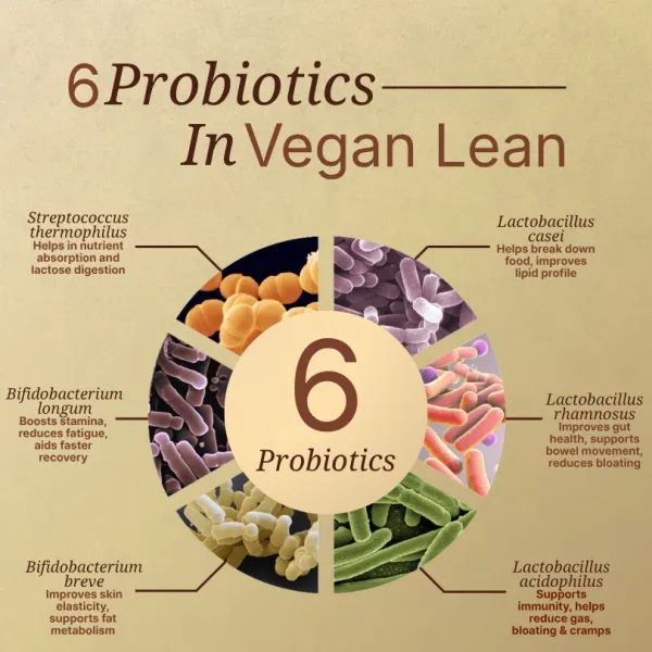 Vegan_Lean_Protein