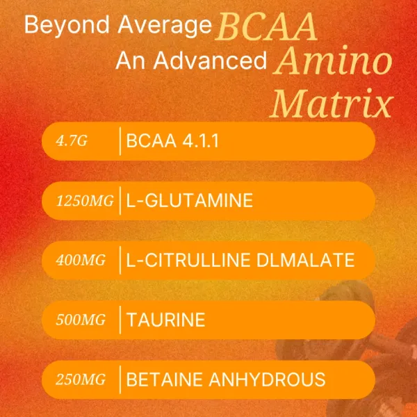 Ampro_Gold_Bcaa_4_1_1