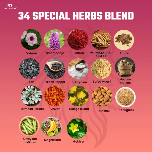 Alpha_Vibe_Testosterone_Booster