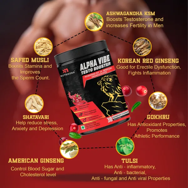 Alpha_Vibe_Testosterone_Booster