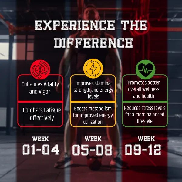 Alpha_Vibe_Testosterone_Booster