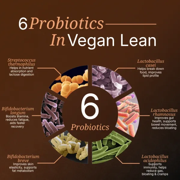 Vegan_Lean_Protein
