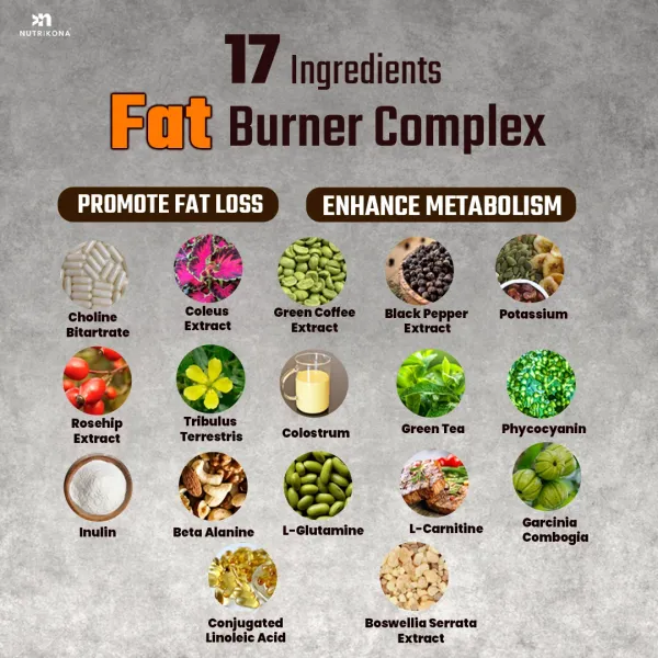 Whey_Protein_ISOLATE_with_Fat_burner