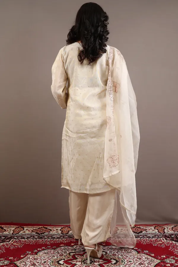 Beige_Organza_Three_Piece_Suit_For_Women