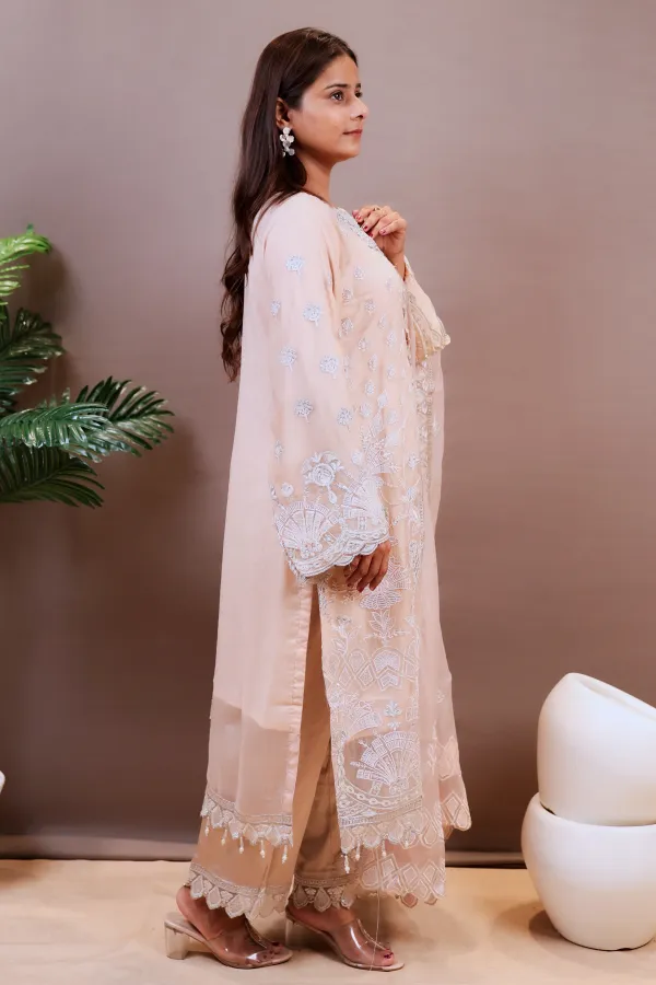 Light_Pink_Organza_Organza_Suit_For_Women