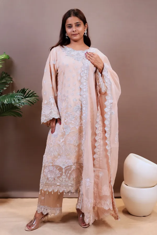 Light_Pink_Organza_Organza_Suit_For_Women