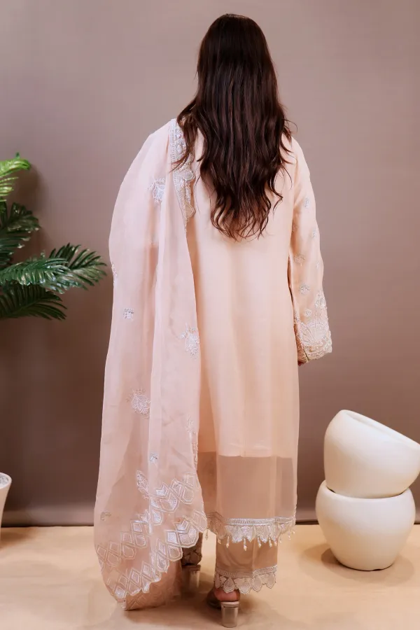 Light_Pink_Organza_Organza_Suit_For_Women