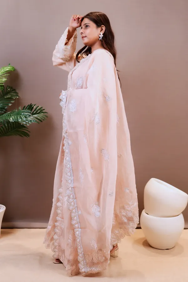 Light_Pink_Organza_Organza_Suit_For_Women