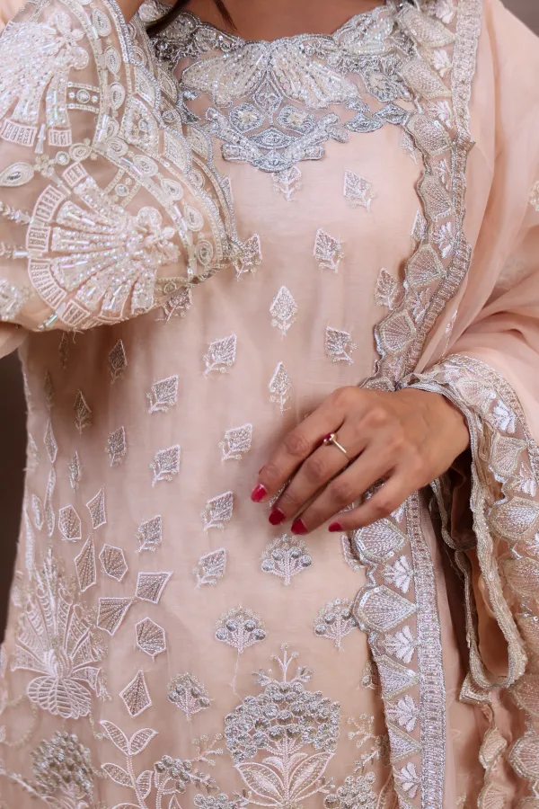 Light_Pink_Organza_Organza_Suit_For_Women