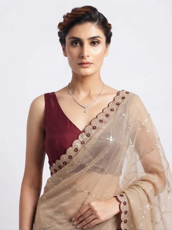 Designer_Saree_with_Delicate_Maroon_Border_and_Intricate_Geometric_Sequin_Pattern_for_Women