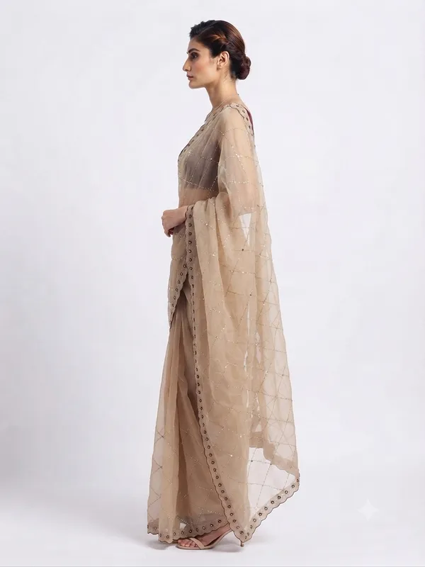 Designer_Saree_with_Delicate_Maroon_Border_and_Intricate_Geometric_Sequin_Pattern_for_Women