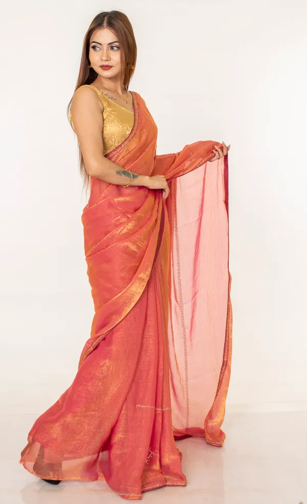 Jimmy_Choo_Shimmer_Saree_with_Embellished_Border