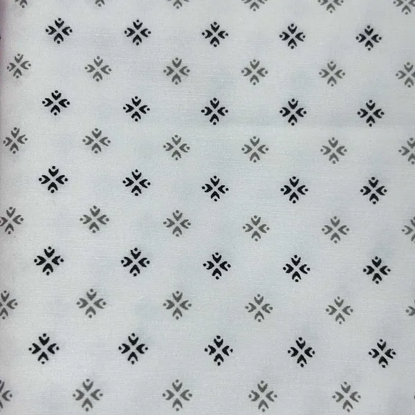 Raymond_Multicolor_Pure_Cotton_Printed_Shirt_Fabric_For_Men