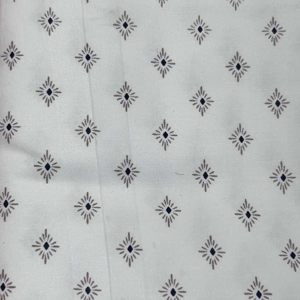 Raymond_Multicolor_Pure_Cotton_Printed_Shirt_Fabric_For_Men