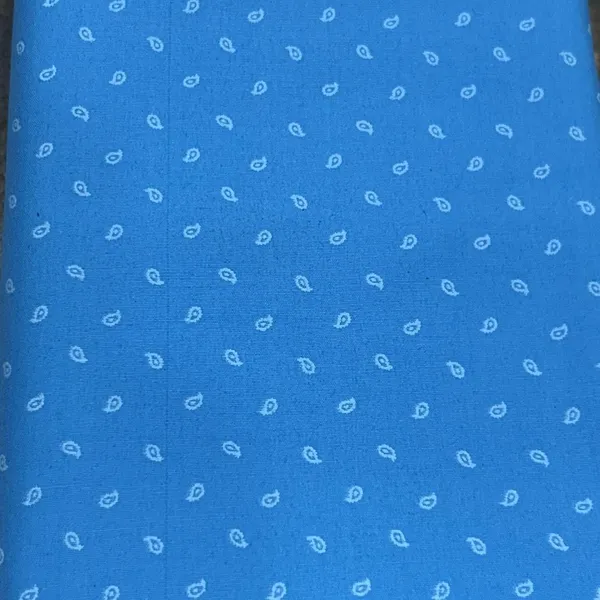 Raymond_Multicolor_Pure_Cotton_Printed_Shirt_Fabric_For_Men