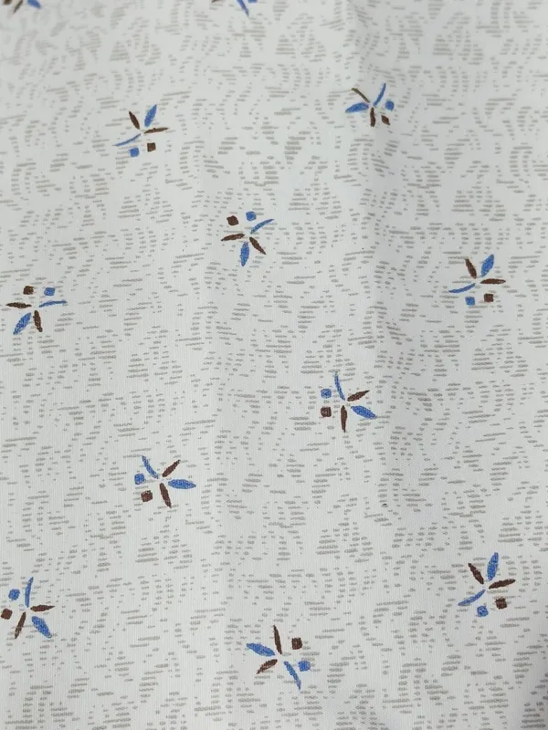 Raymond_Multicolor_Pure_Cotton_Printed_Shirt_Fabric_For_Men