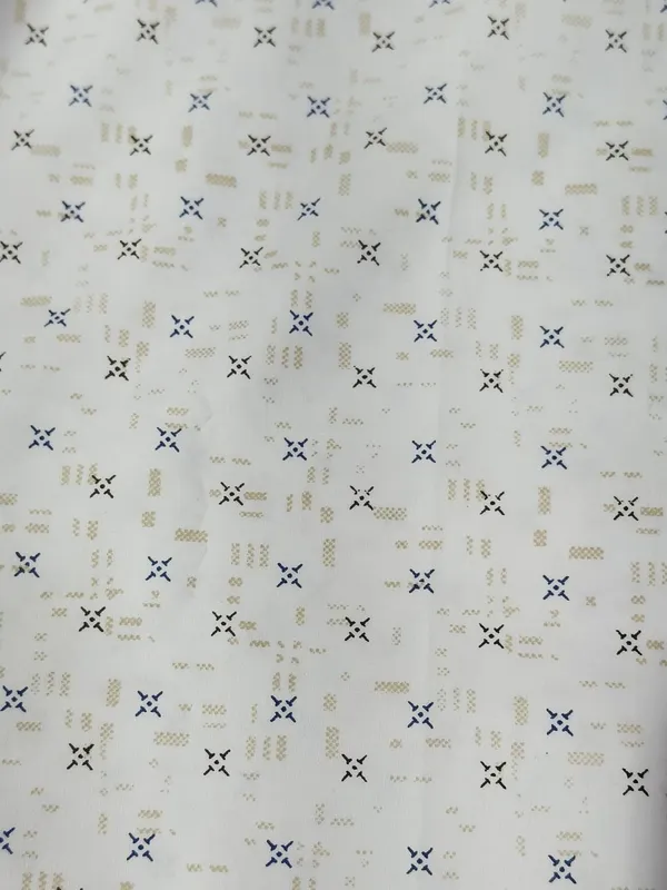 Raymond_Multicolor_Pure_Cotton_Printed_Shirt_Fabric_For_Men