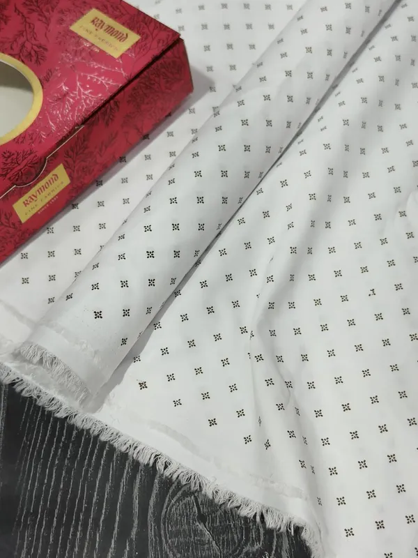 Raymond_Multicolor_Pure_Cotton_Printed_Shirt_Fabric_For_Men