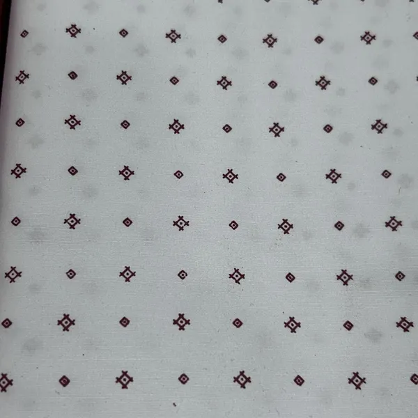 Raymond_Multicolor_Pure_Cotton_Printed_Shirt_Fabric_For_Men
