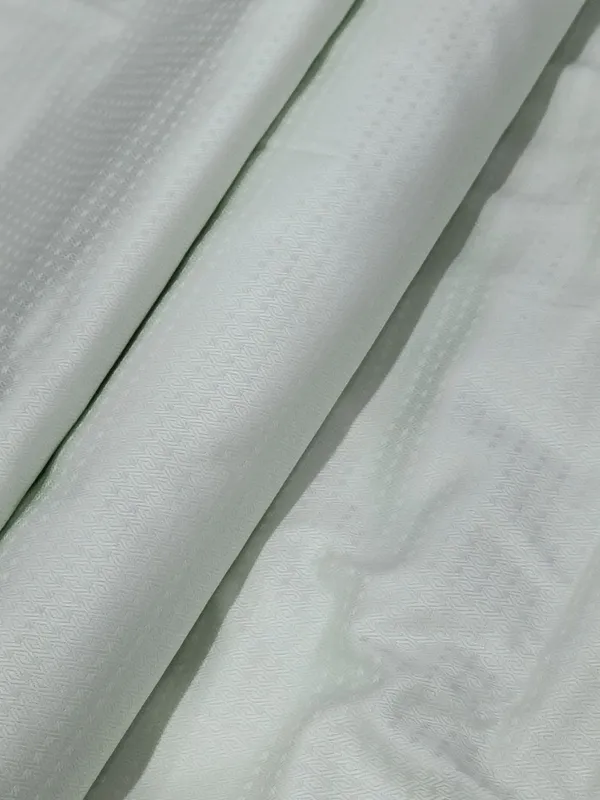 Raymond_Multicolor_Pure_Cotton_Solid_Shirt_Fabric_For_Men