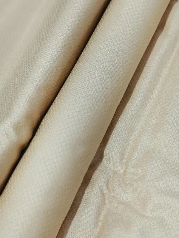 Raymond_Multicolor_Pure_Cotton_Solid_Shirt_Fabric_For_Men