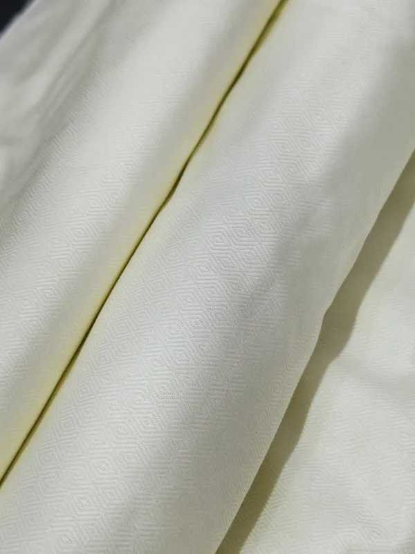 Raymond_Multicolor_Pure_Cotton_Solid_Shirt_Fabric_For_Men