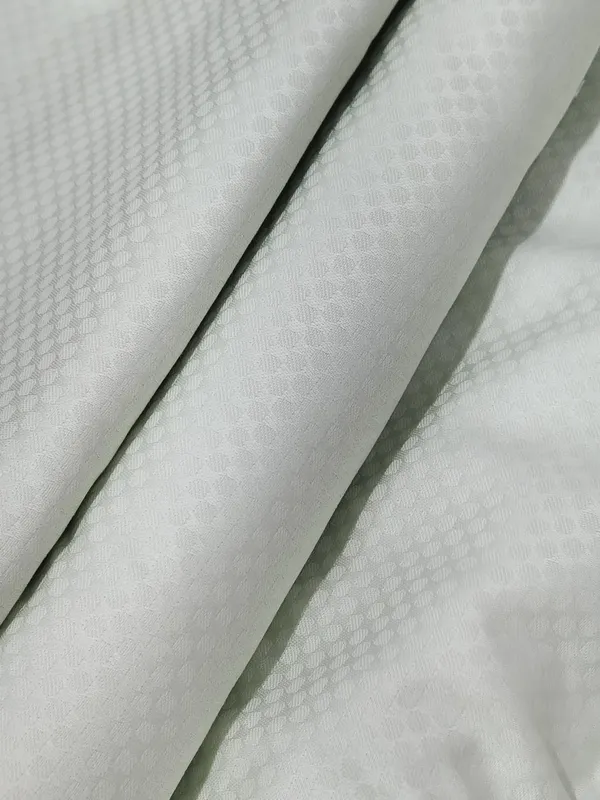 Raymond_Multicolor_Pure_Cotton_Solid_Shirt_Fabric_For_Men