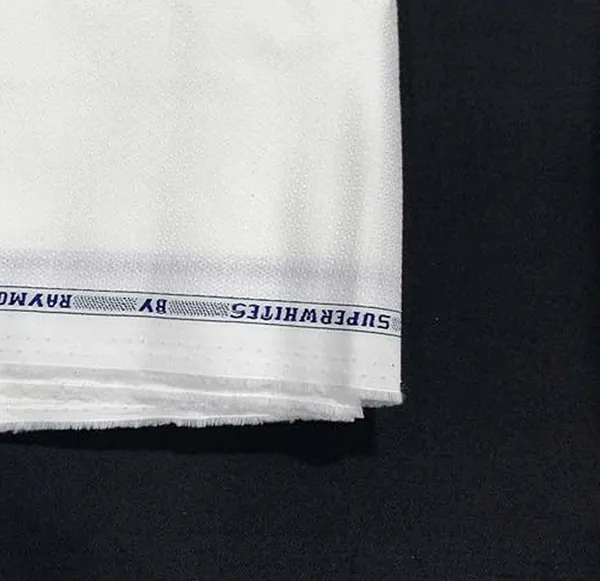 Raymond_Blue_And_White_Cotton_Blend_Printed_Shirt_And_Trouser_Fabric_For_Men