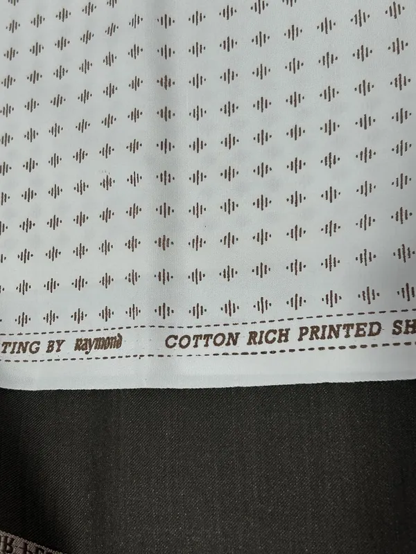 Raymond_Multicolor_Cotton_Blend_Printed_Shirt_And_Trouser_Fabric_For_Men