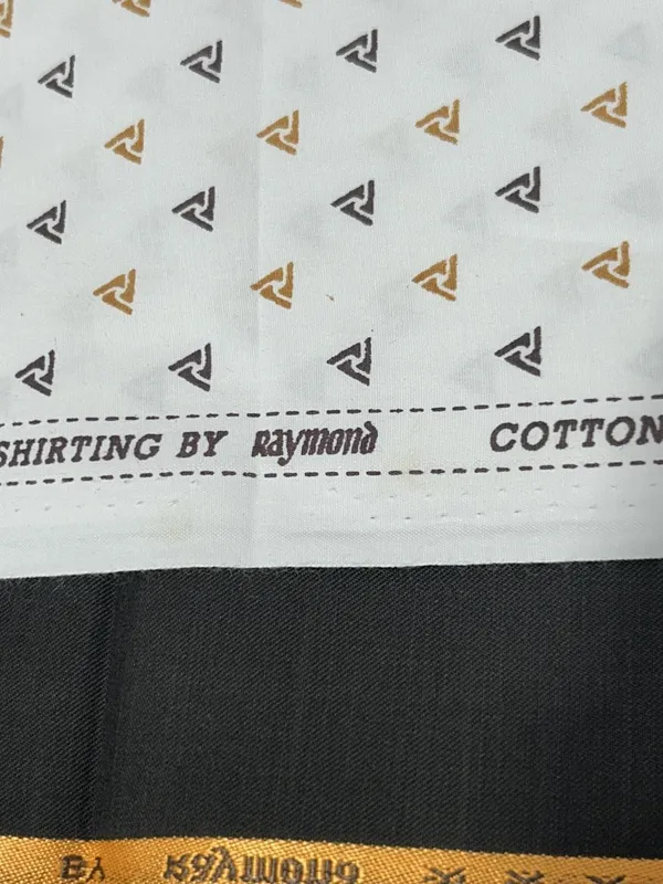 Raymond_Multicolor_Cotton_Blend_Printed_Shirt_And_Trouser_Fabric_For_Men