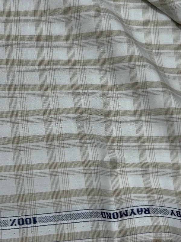 Raymond_Multicolor_Pure_Cotton_Checkered_Shirt_Fabric_For_Men