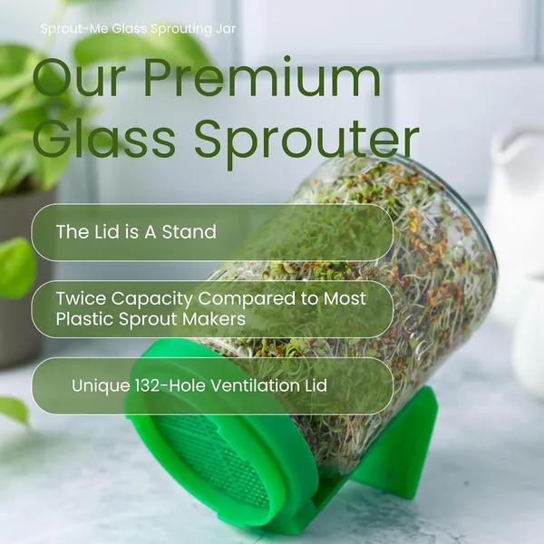 Green_Premium_Glass_Sprouts_Maker_With_Printed_Recipe_Books_60_Healthy_Recipes_Of_Sprouting_Glass_Sprout_Jar_With_Mesh_Lid_Built_In_Drainage_Stand_Set_Of_2
