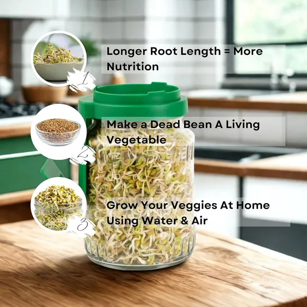 Green_Premium_Glass_Sprouts_Maker_With_Printed_Recipe_Books_60_Healthy_Recipes_Of_Sprouting_Glass_Sprout_Jar_With_Mesh_Lid_Built_In_Drainage_Stand_Set_Of_2
