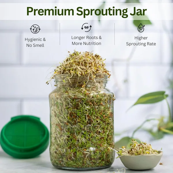 Green_Premium_Glass_Sprouts_Maker_With_Printed_Recipe_Books_60_Healthy_Recipes_Of_Sprouting_Glass_Sprout_Jar_With_Mesh_Lid_Built_In_Drainage_Stand_Set_Of_2