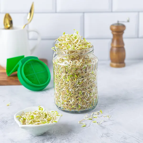 Green_Premium_Glass_Sprouts_Maker_Box_With_Recipe_Book_Glass_Mason_Jar_With_Mesh_Lid_For_All_Seeds_Beans_Sprouts_Making_Box
