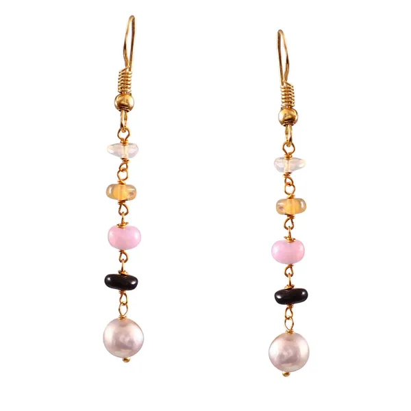 Multicolor_Beaded_Dangle_Earrings_With_Gold_Tone_Hooks