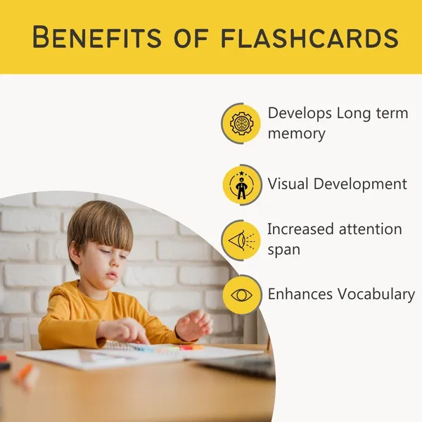 Animals_Flash_Cards_Pack_Of_24