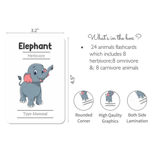 Animals_Flash_Cards_Pack_Of_24