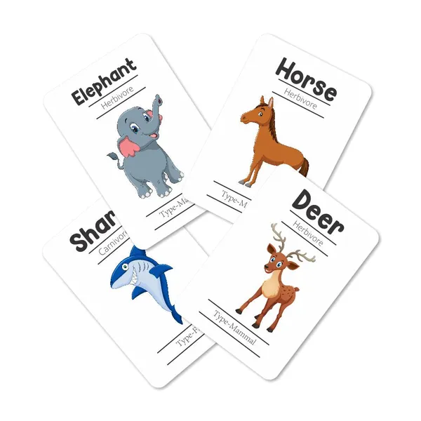 Animals_Flash_Cards_Pack_Of_24