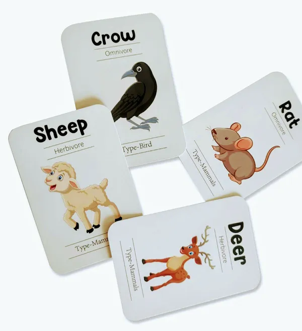 Animals_Flash_Cards_Pack_Of_24