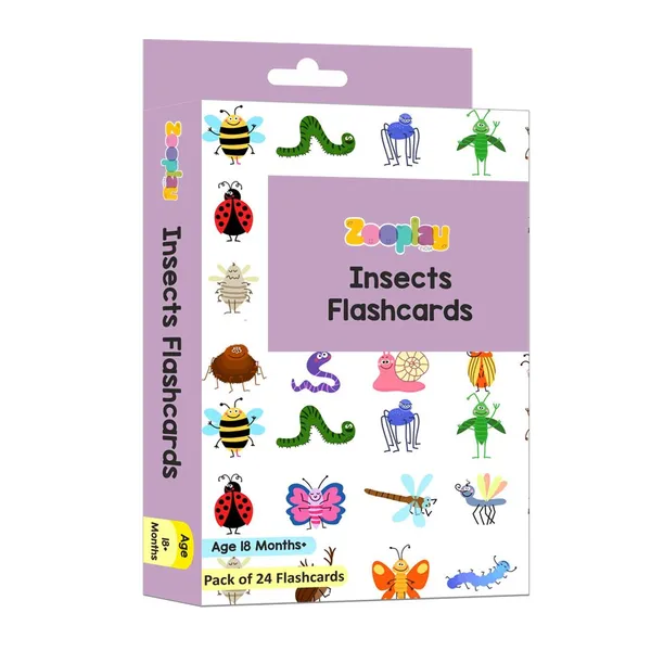 Insect_Flash_Cards_Pack_Of_24