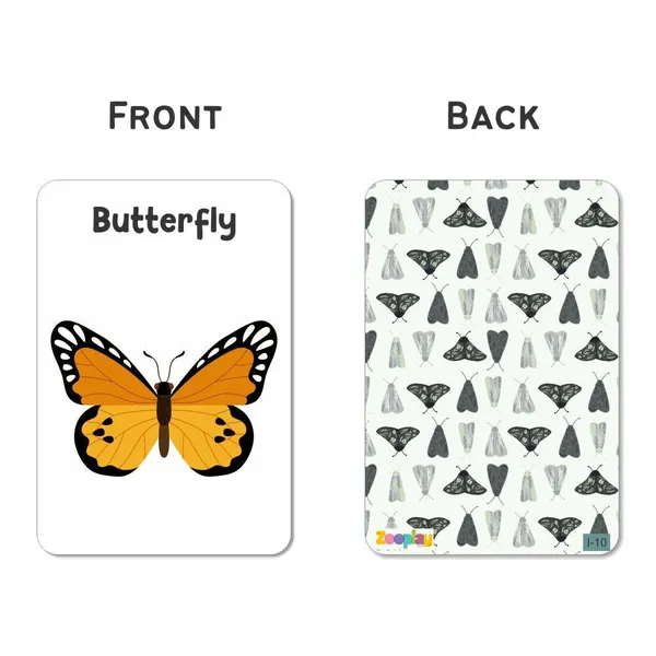 Insect_Flash_Cards_Pack_Of_24