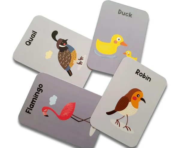 Birds_Flash_Cards_For_Kids